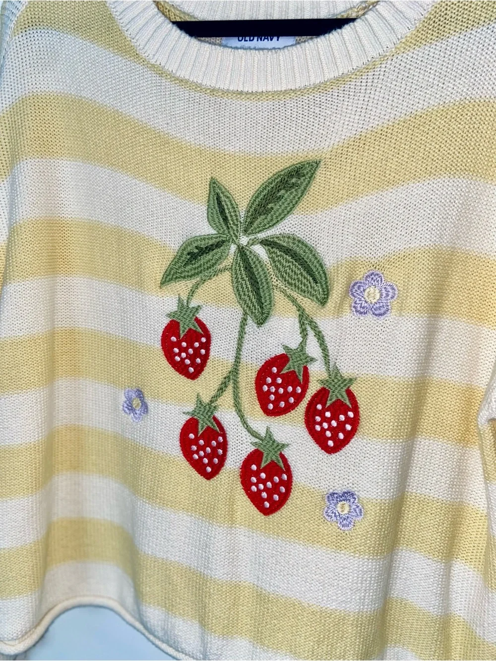 Old Navy Strawberry Stripe Sweater